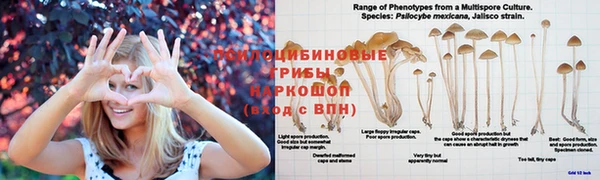 герыч Михайловка