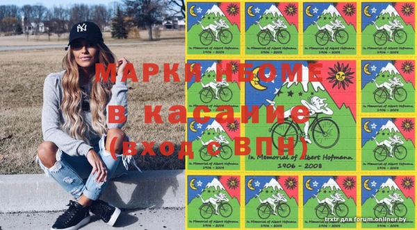 шишки Михайлов