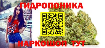 spice Будённовск