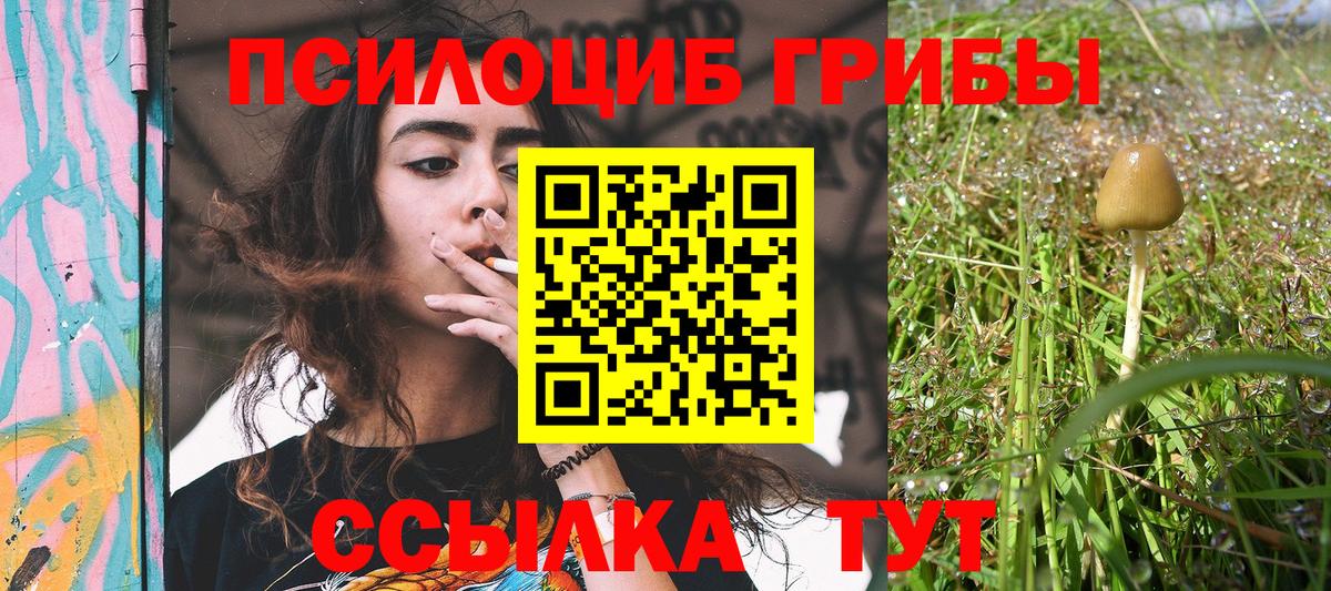 Псилоцибиновые грибы MAGIC MUSHROOMS  Галлюциногенные грибы MAGIC MUSHROOMS  как найти закладки  Партизанск 